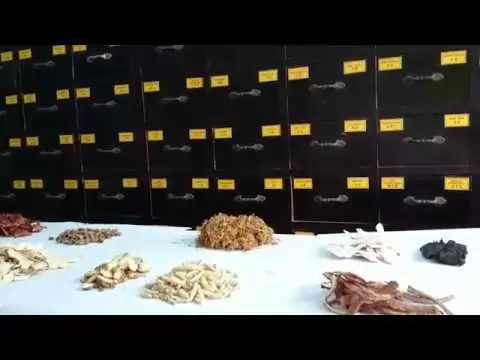 Giải độc gan đông y Bảo Minh